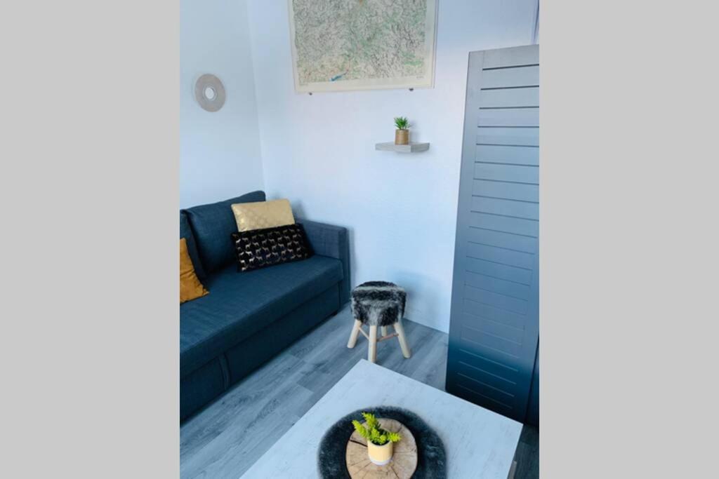 Studio 1600 Pied Des Pistes Avec Magnifique Vue بوي-سانت-فينسينت المظهر الخارجي الصورة